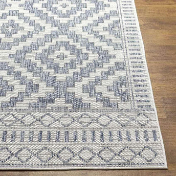 Kirkman Outdoor Area Rug Carpet for Living Room Bedroom or Kitchen
